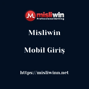 Misliwin Mobil Giriş
